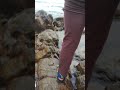 beach #music