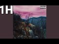 Călinacho - Femei băutură necaz (Intro) [(1 Hour + Lyrics in Description)]