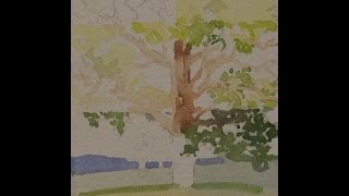 Deborah Ellis: Trees