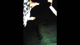 Download lagu EMEL CANDIRLI bioenerji seansi yapmaktadir idrar yollarinda sorun var EMEL CANDIRLI bioenerji seansi yapmaktadir idrar yollarinda sorun var