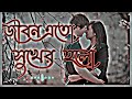 জীবন এতো সুখের হলো। Jibon Eto Sukher Holo। (Slowed+Reverb)। Bangla Song 2023