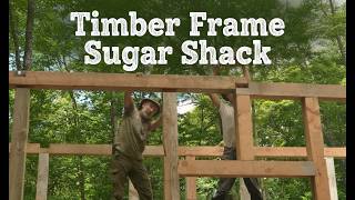 Raising the Timber Frame Maple Sugar Shack with my Apprentice: Off-grid Cabin Build