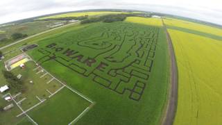 2017 Edmonton Corn Maze Aerial View | BioWare Anthem Themed Maze