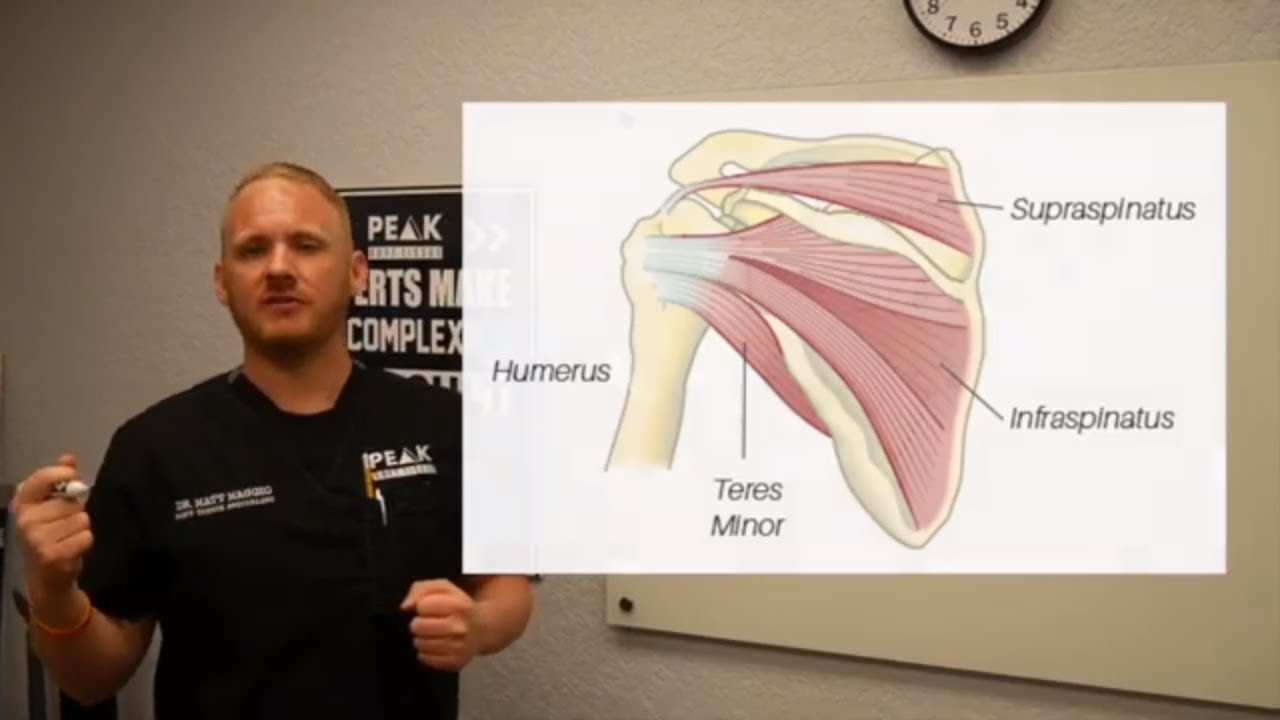 Winging Scapula Explained and How To Fix Shoulder Pain.