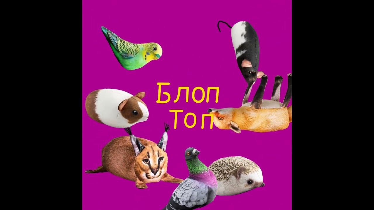 Шлёпа, хренобус, лиса, крыса,голубь,булка и попугай собирают БЛОПТОП # ...