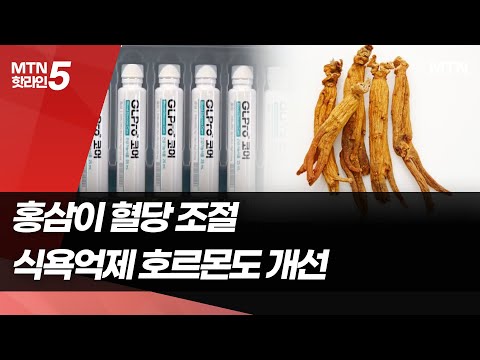 “홍삼이 혈당 뿐 아니라 <strong>식욕억제</strong> 조절까지” …과학적으로 규명 / 머니투데이방송 (뉴스)