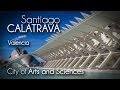 Santiago Calatrava - City of Arts and Sciences