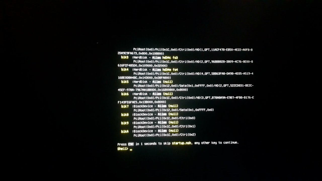 press esc in 1 seconds to skip startup.nsh any other key to continue ...