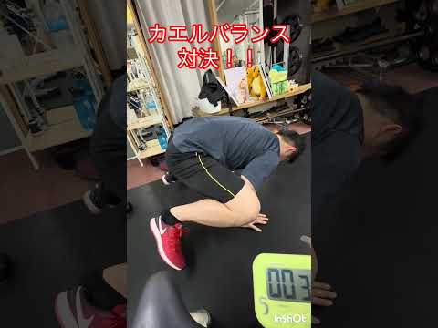 カエルバランス対決🐸勝者は誰だ⁉️2026年3月28日#アルーザ#ジム#gym#筋トレ#ショート