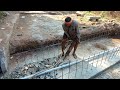 Concrete Demolation / Breaker /Tractor Compressor Works / Road Construction