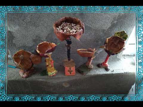 საჩუქარი ბროწეულისგან