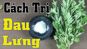 Cách chữa bệnh Đau Lưng, mỏi lưng bằng lá ngải cứu cho hiệu quả tức thì [Mẹo Sống Khỏe VTT7]