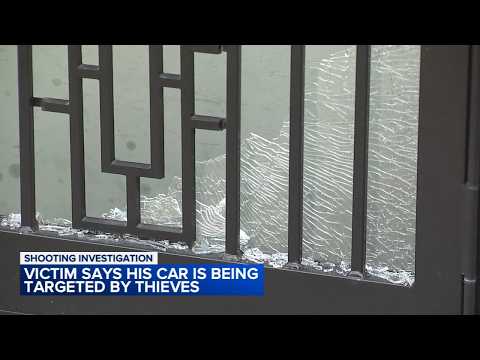 Homeowner shot through back door: 'I can't understand why people doing this?'