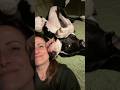 Wie peinlich!! #shorts #shortvideo #viral #dogmom #fypシ #greatdane #dogs #bigdog #funny