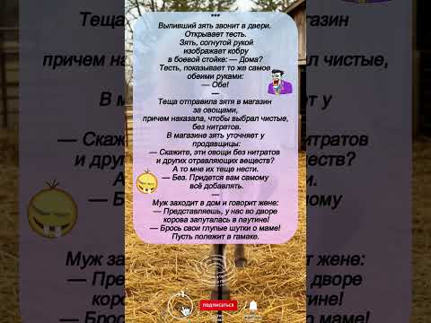'Зять, тесть и теща: когда анекдоты — как жизнь!'
