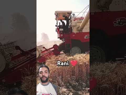 حصاد القمح بالماكينات Farming Automobile Agriculture Song Music Satisfying اكسبلور Tomata 