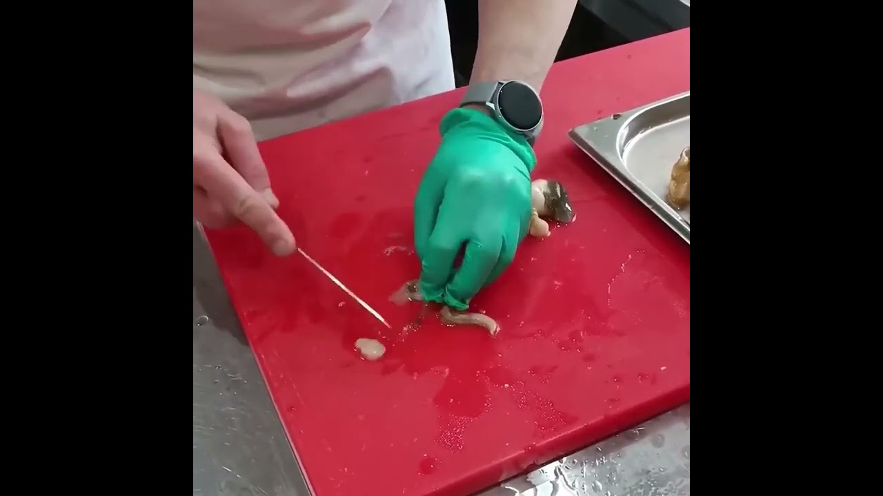 Спизула Морепродукты РАК-ША