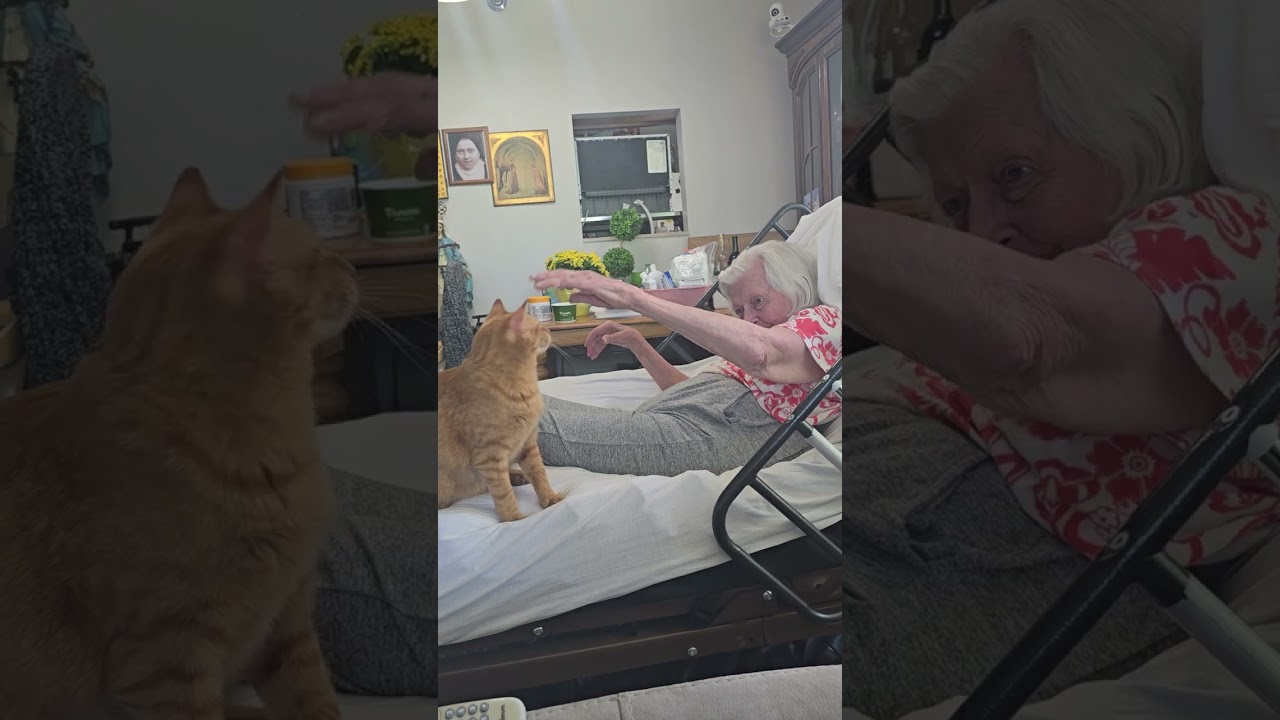 Ma with Kittens Petey and Andy today return home from respite care Preakness Healthcare