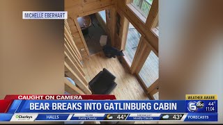 Bear breaks into Gatlinburg cabin screenshot 1