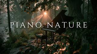 Relaxing Piano Music ~ Soft Piano Instrumentals for Stress Relief and Deep Sleep screenshot 4