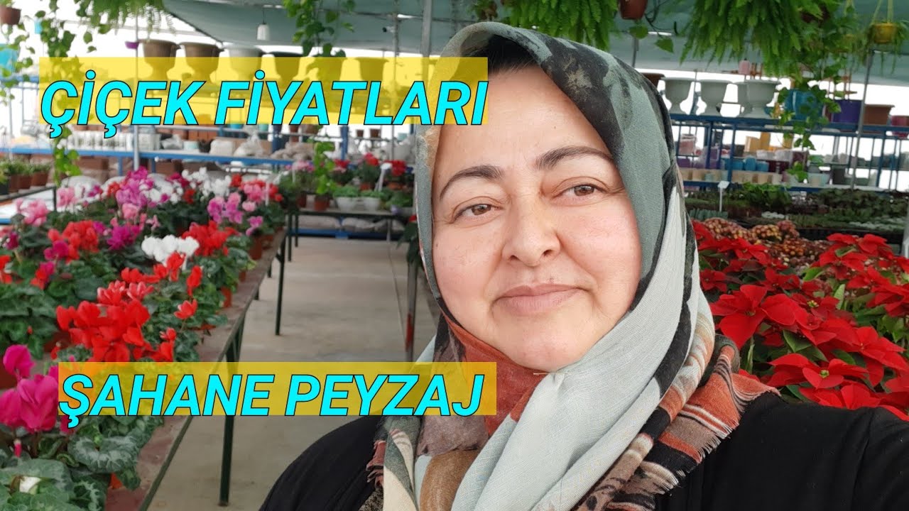 Çiçek Serası Osmaniye Şahane Peyzaj dayız!😍Uygun Fiyatlar