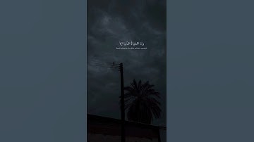 وَفِي الآخِرَةِ عَذابٌ شَديدٌ وَمَغفِرَةٌ مِنَ اللَّهِ وَرِضوانٌ ﴾القارئ #رعد_الكردي