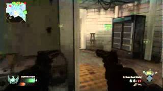 Celebrity Call of Duty: Black Ops - SH00T3R495 - Dual Wield Python Rampage Profile