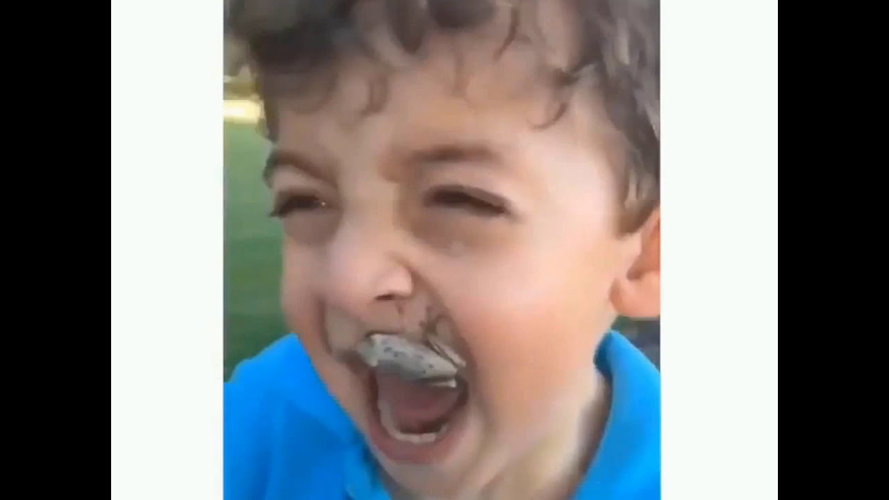 Try not to laugh!!! Funny Video 