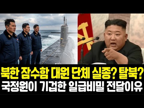 [탈북민실화9] 북한 잠수함 대원 3명 단체 탈북? 국정원도 기겁한 일급비밀 전달한 이유, 탈북감동사연