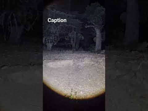 كنت كنصور عادي حتى شفت شي ما يمكنش يتشرح القشعريرة شدتني شفت شي ما يمكنش يتشرح 