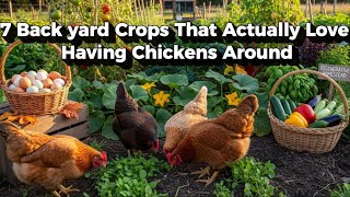 Exclusive 7 Backyard Crops That Actually Love Having Chickens Around.  Details