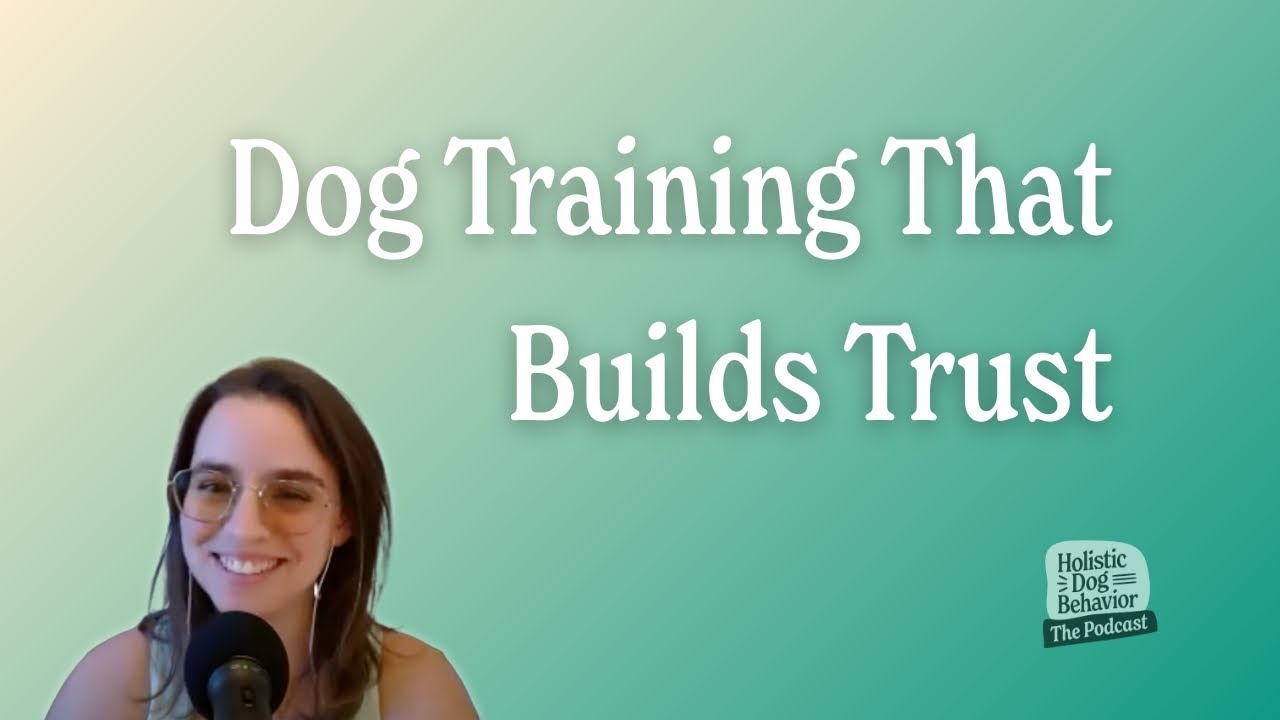 Understanding Training Methods and Building a Positive Bond with Your Dog