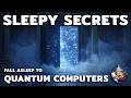 The Most Relaxing Quantum Computers Secrets To Fall Asleep To | Sleepy Tin Foil Hat