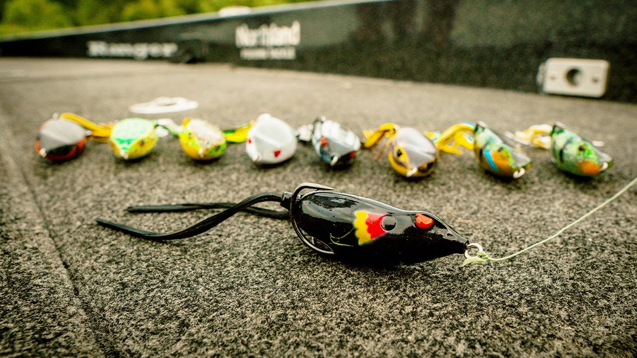 Walking Frog Vs. Popping Frog (ReedRunner Frogs) YouTube