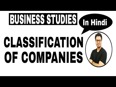 Class 11 (CBSE/RBSE) | Types of Company | Classification of Companies in Hindi | Sunil Adhikari |