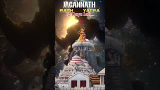 12 Days left.. jagannath rath yatra 🙏🏻 Kaki Singer jagannath rath yatra song whatsapp status