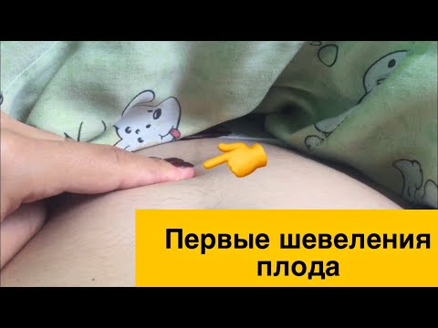 Первые шевеления плода в 15 недель | и Ужас в 38 недель😱| Пытается вырваться наружу