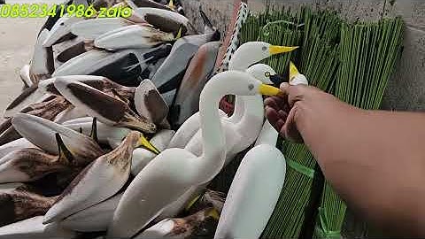 Chim cò vạc xốp . Cò trắng, cò bợ , nan cáp quang keo cò vạc