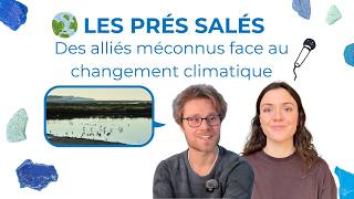 Les prés salés : des alliés méconnus face au changement climatique