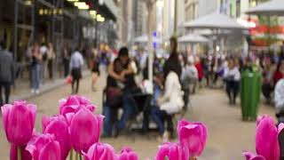 Hotel pennsylvania Booking Booking Reviews