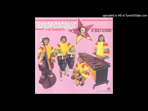 洋楽 SENOR COCONUT - Trans Europe Express señor coconut - trans europe express - YouTube