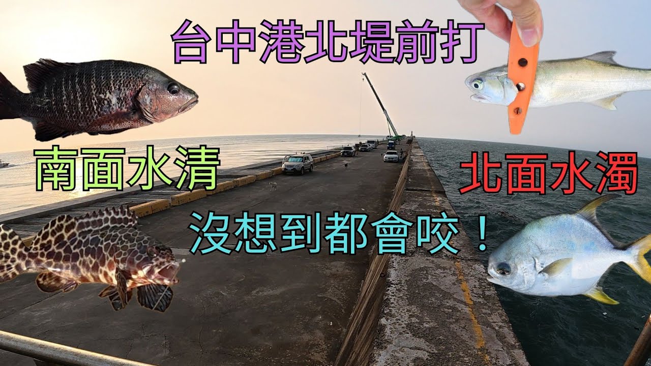 排骨洞外前打經驗分享！ 跳脫舒適圈挑戰自我的一集～ #台中港北堤  #前打 #釣魚  #排骨洞