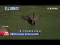 【全球面對面】從看見風險到提前行動 AI 如何改變環境治理？｜2026.07.26｜黃寶慧博士｜#寰宇新聞@globalnewstw