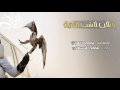 شيله ويلان لاشب الفتيل