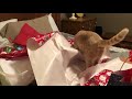 Deacon’s Being Naughty On Christmas Eve