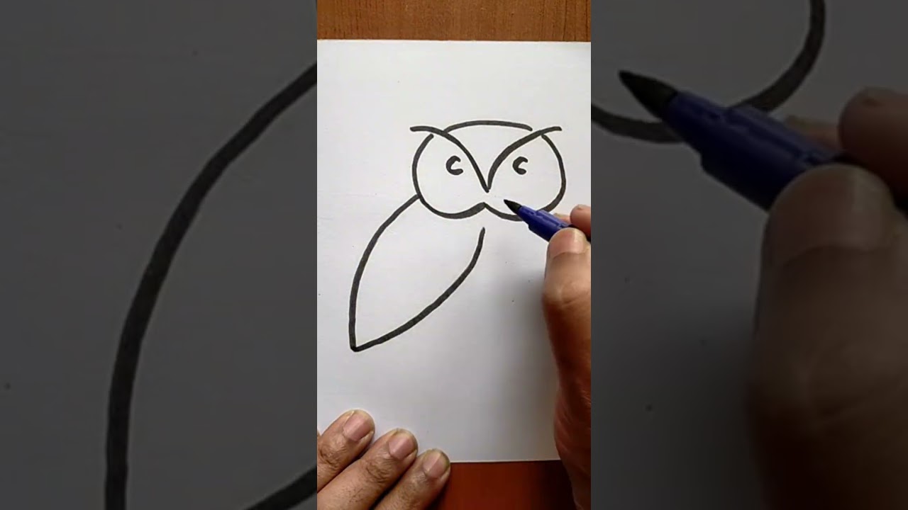 How To Draw A Cute Owl Easy 