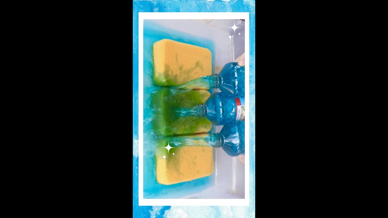 BLUE PINE SOL YouTube