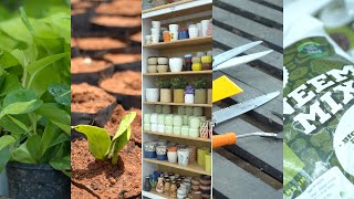 6 Key Elements For Indoor Plants Business | Farming Inspirations