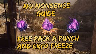 Free Pack A Punch And Cryo Freeze - Easter Egg On The Tomb No Nonsense Guide