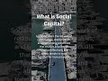What is Social Capital? (Sociology 9699)